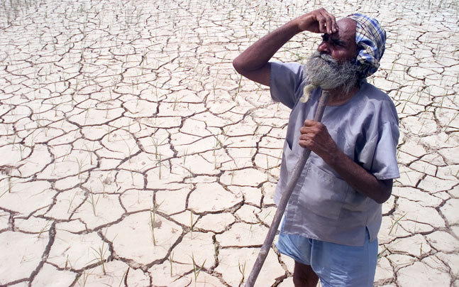tamil farmer suicide