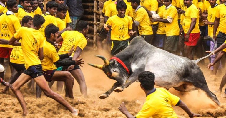 ஜல்லிக்கட்டை தடை செய்ய சாதிப் பிரச்னையை கிளப்பும் சதிகாரர்களின் பின்னணியில் ‘பீட்டா” ??!!